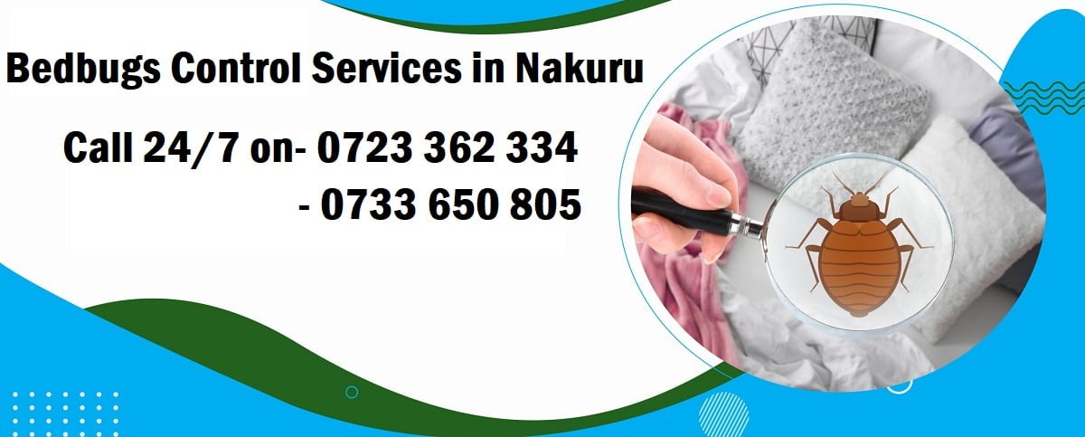 bedbugs control services in Nakuru
