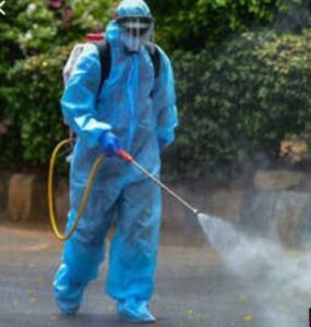 pest extermination services in Lavington