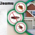 Bedbugs control services in Kisumu