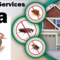 Cockroaches control services in Kenya