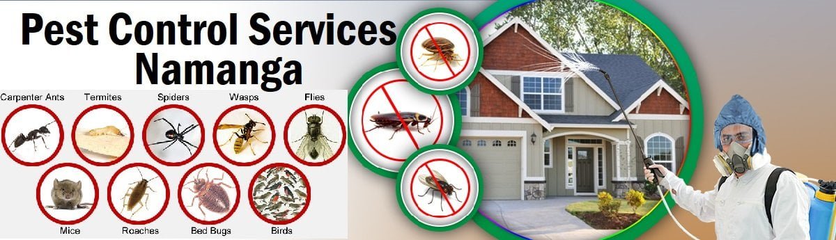 Fumigation and pest control services Namanga
