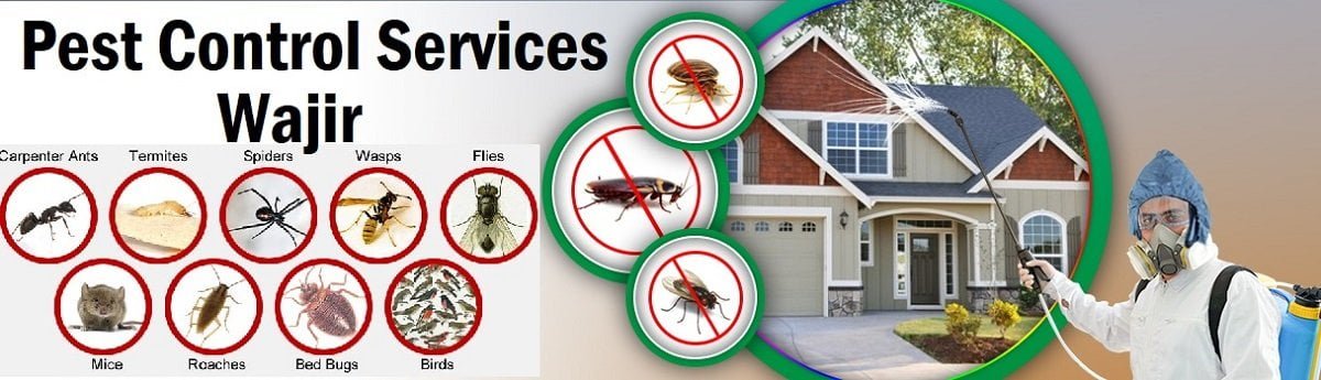 Fumigation and pest control services Wajir
