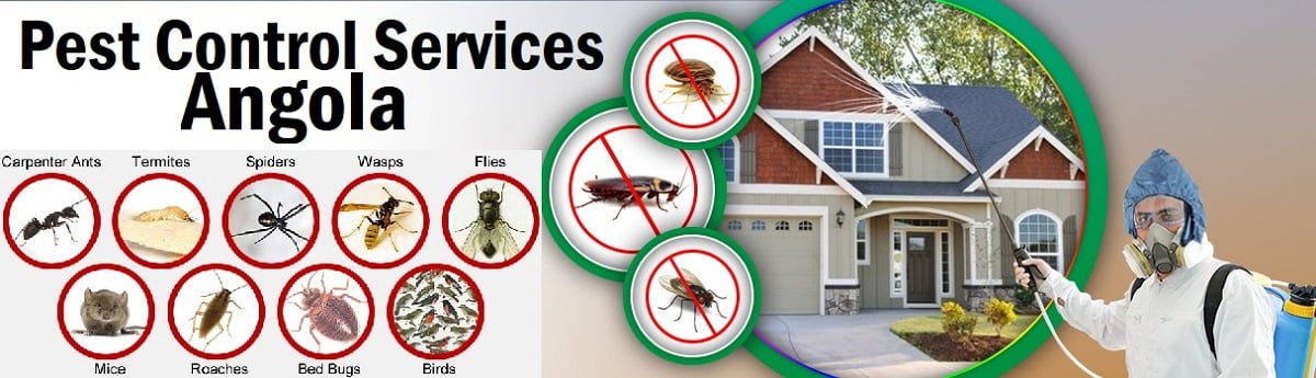 Fumigation and pest control services in Angola Luanda