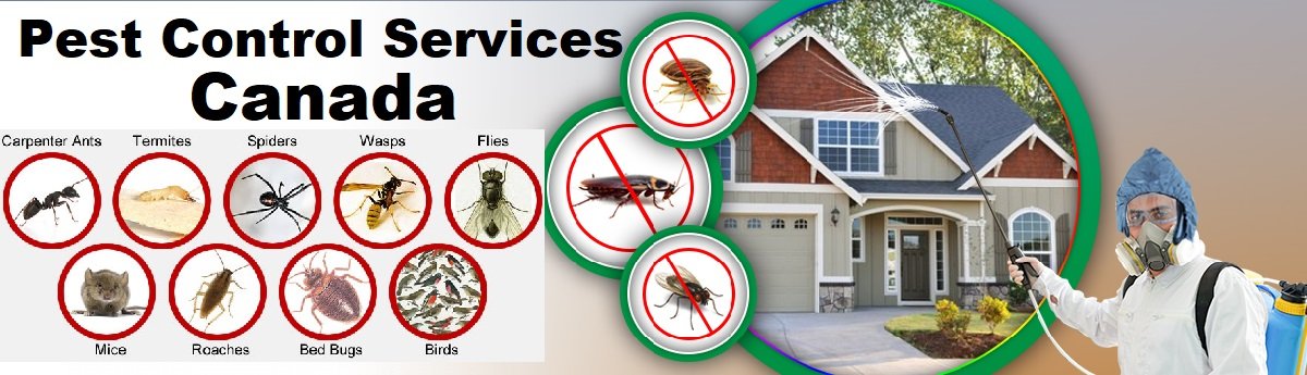 Fumigation and pest control services in Canada