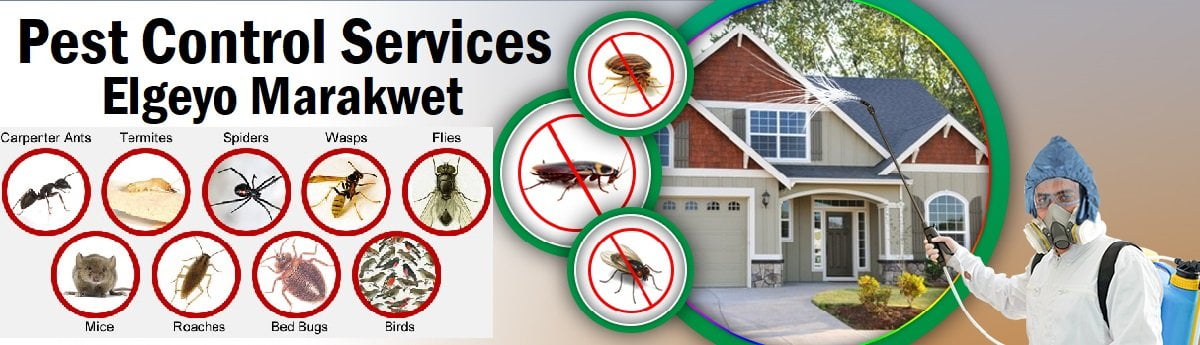 Fumigation and pest control services in Elgeyo Marakwet