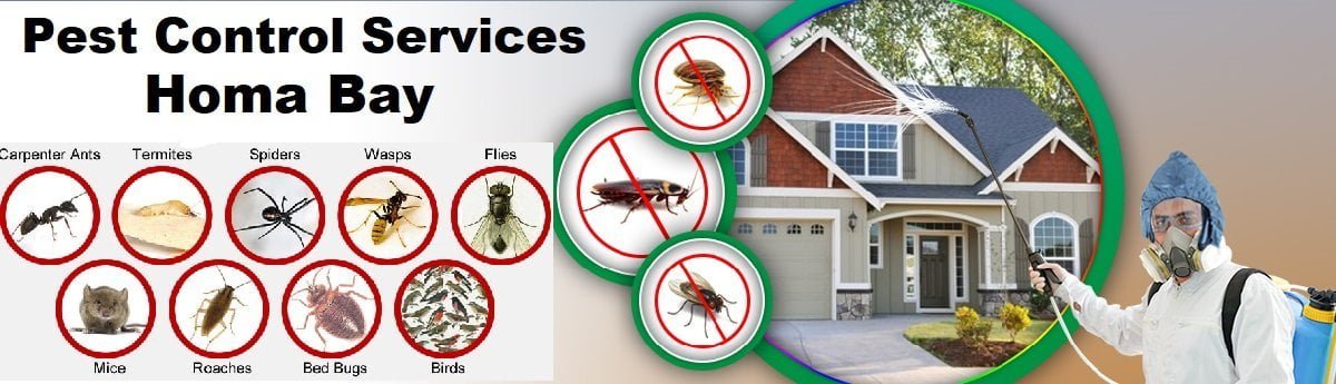 Fumigation and pest control services in Homa Bay