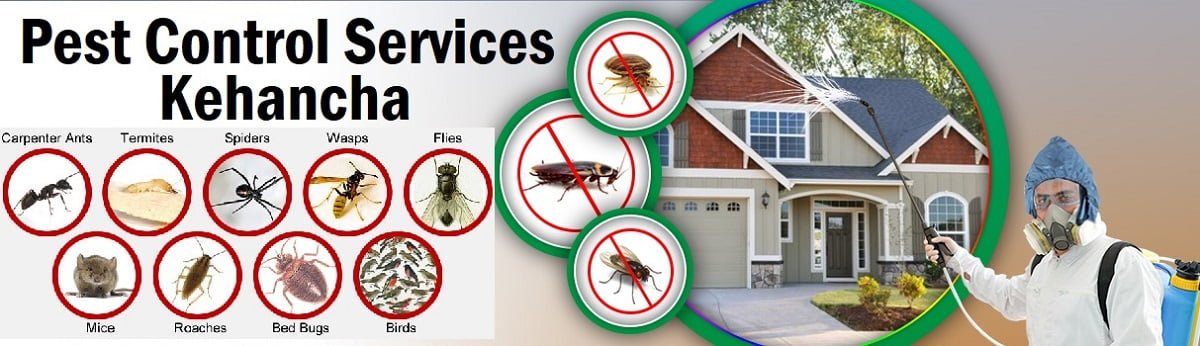 Fumigation and pest control services in Kehancha