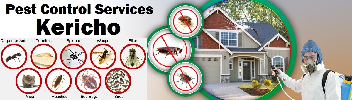 Fumigation and pest control services in Kericho