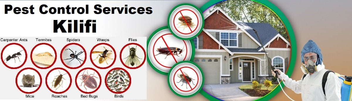 Fumigation and pest control services in Kilifi county