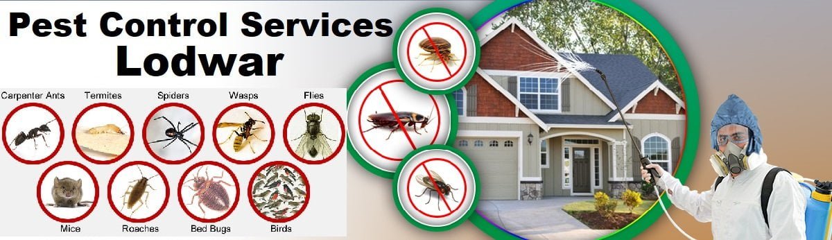 Fumigation and pest control services in Lodwar