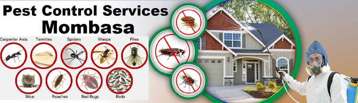 Fumigation and pest control services in Mombasa