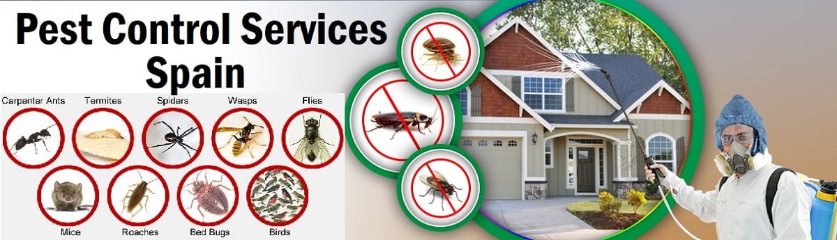 Fumigation and pest control services in Spain Madrid