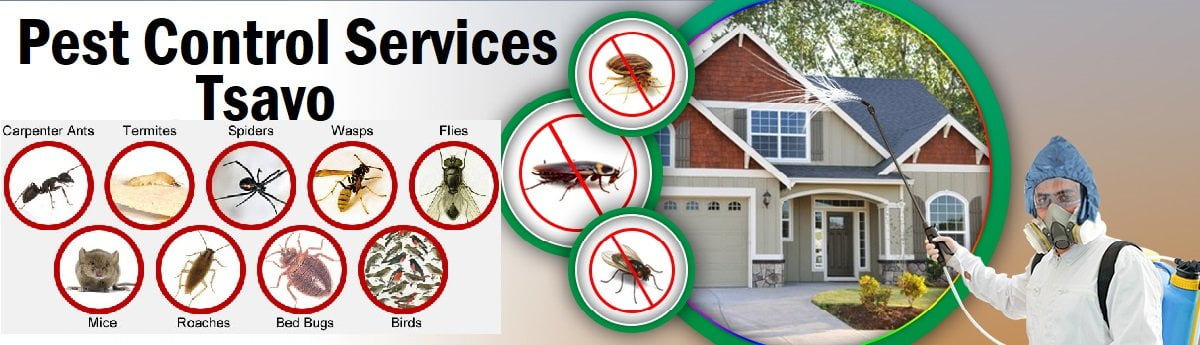 Fumigation and pest control services in Tsavo