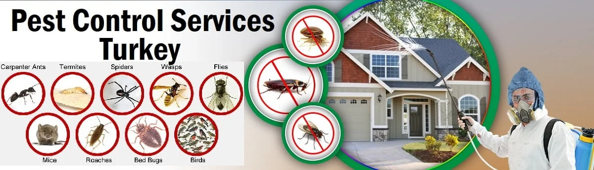 Fumigation and pest control services in Turkey Ankara