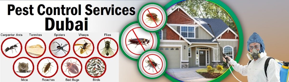 Fumigation & pest control services in Dubai Emirate