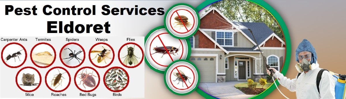 Fumigation & pest control services in Eldoret