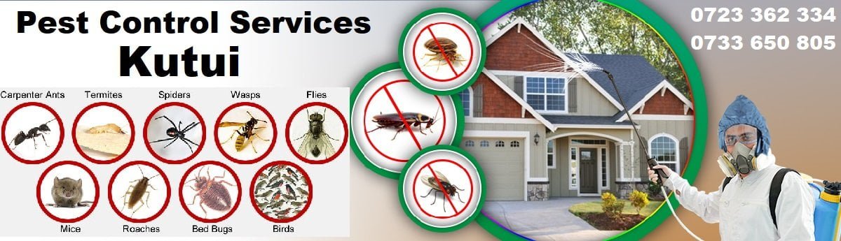 Fumigation & pest control services in Kitui
