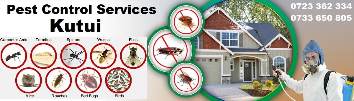 Fumigation shop near me
