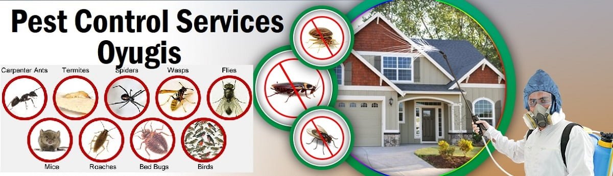 Fumigation & pest control services in Oyugis