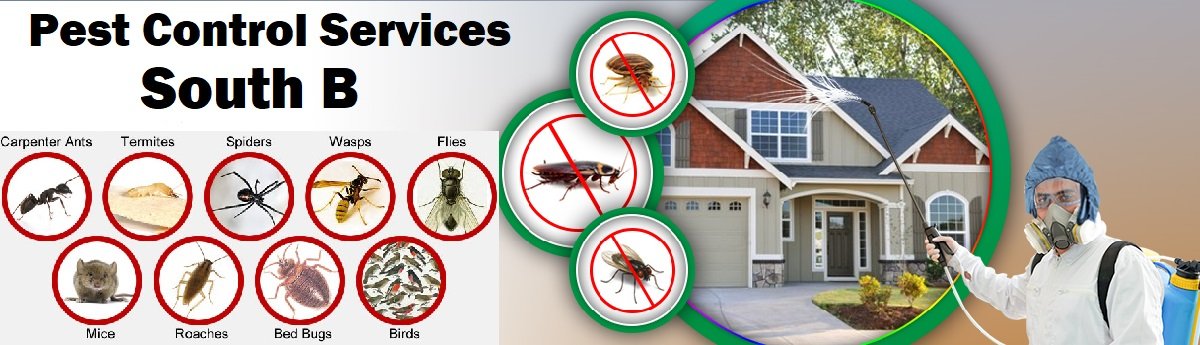 Fumigation & pest control services in South B Nairobi
