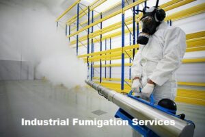 Fumigation services in Industrial Area Nairobi Fumigation services in Industrial Area Nairobi