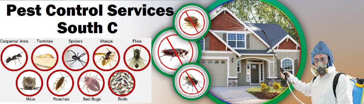 Fumigtion-and-pest-control-services-in-South-C-Nairobi