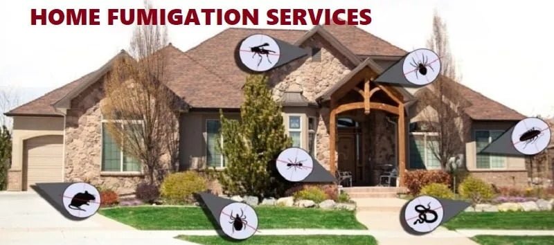 Home pest control services & home fumigation services Home pest control services & home fumigation services