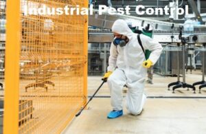 Pest control services in Industrial Area Nairobi Pest control services in Industrial Area Nairobi