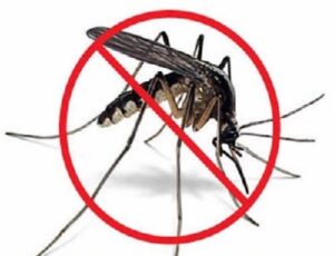 Pest control in Industrial Area Nairobi Pest control in Industrial Area Nairobi