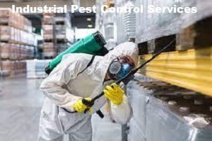 Pest control services in Industrial Area Nairobi Pest control services in Industrial Area Nairobi