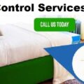 bedbugs-control-services-in-Kenya Nairobi