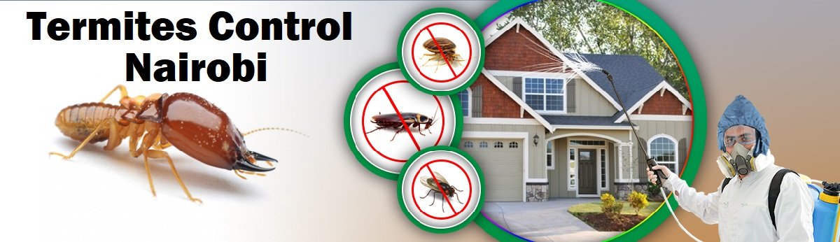 termites control in Nairobi