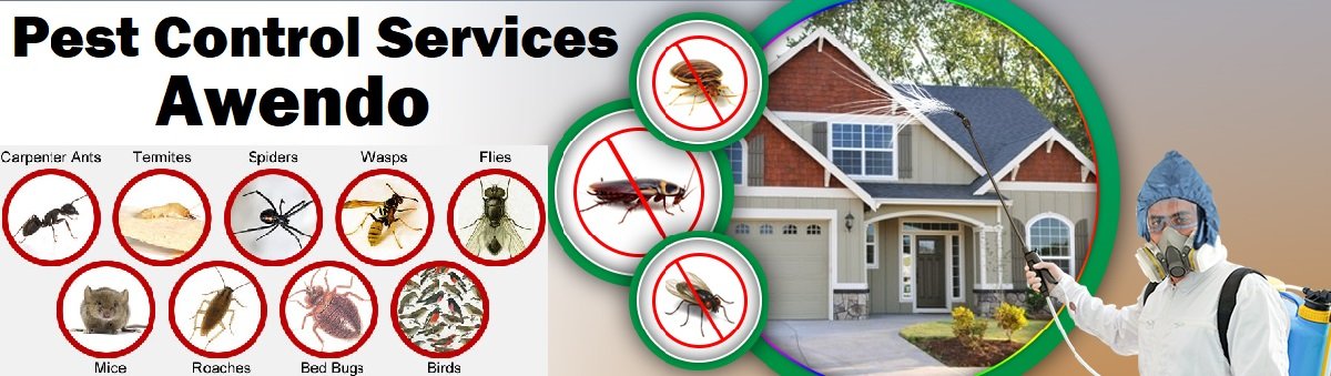 Awendo fumigation and pest control services