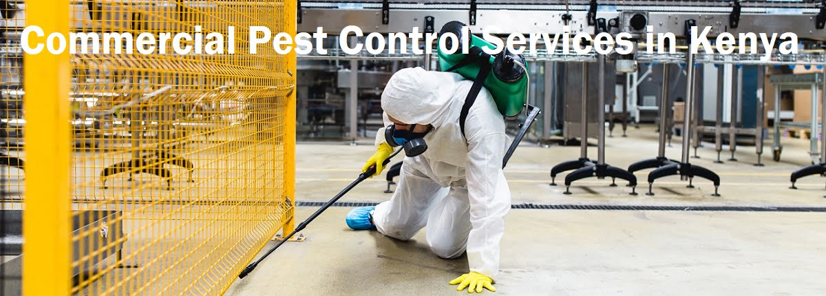 Commercial fumigation services & commercial pest control services in Kenya