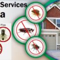 Effective fumigation and pest control services in Kenya