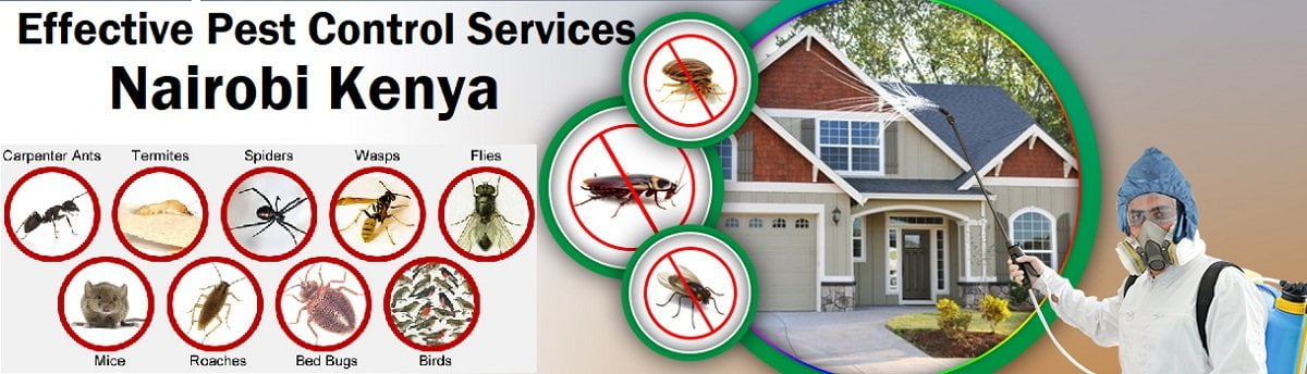 Effective fumigation and pest control services in Kenya