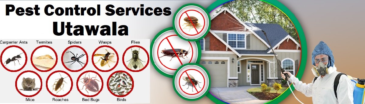 Fumigation and pest control services in Utawala