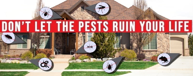 how to do all pests fumigation in Kenya how to do all pests fumigation in Kenya