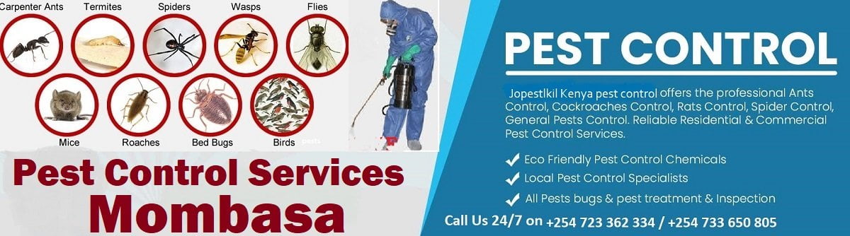 Fumigation and pest control services Mombasa
