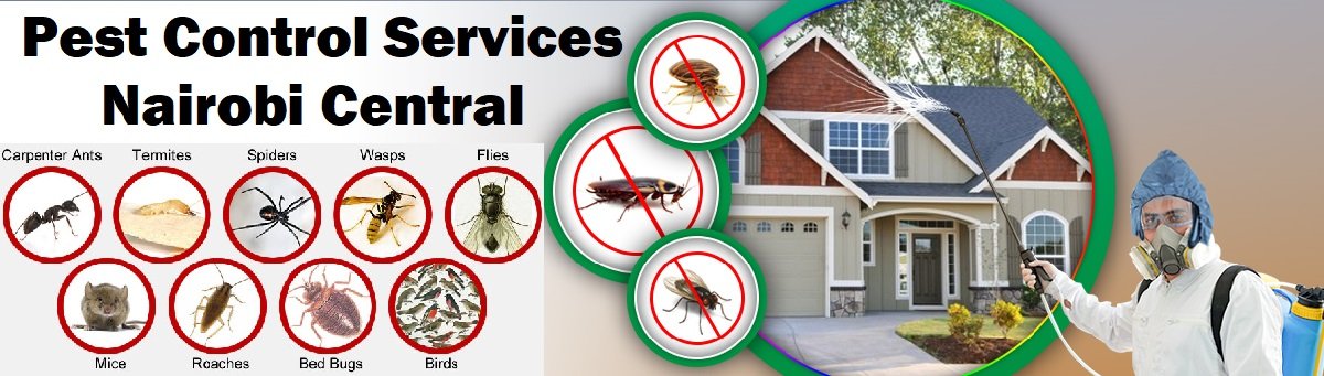 Fumigation and pest control services Nairobi Central