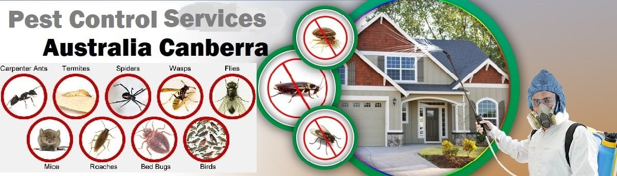 Fumigation and pest control services in Australia Canberra