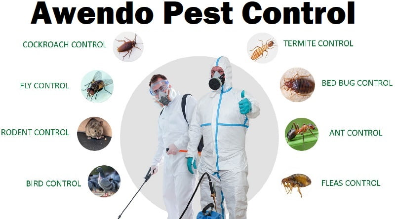 Fumigation and pest control services in Awendo Fumigation and pest control services in Awendo