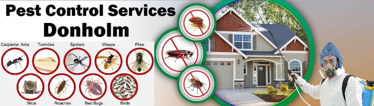Fumigation and pest control services in Donholm