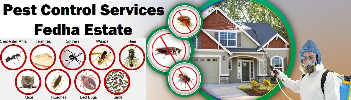 Fumigation and pest control services in Fedha Estate