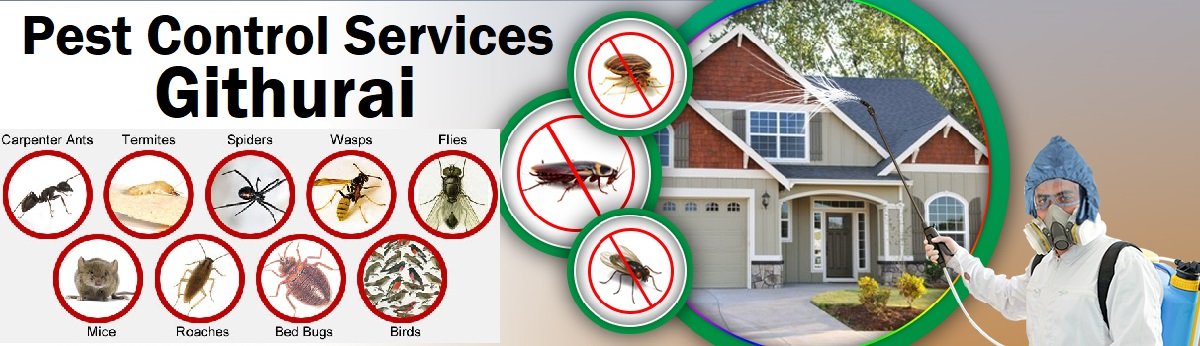 Fumigation and pest control services in Githurai