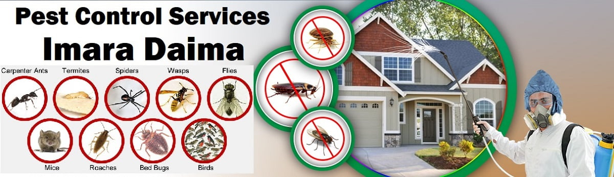 Fumigation and pest control services in Imara Daima