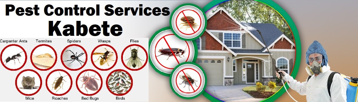 Fumigation and pest control services in Kabete