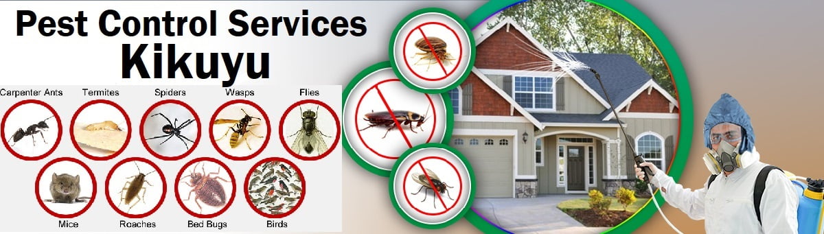 Fumigation and pest control services in Kikuyu