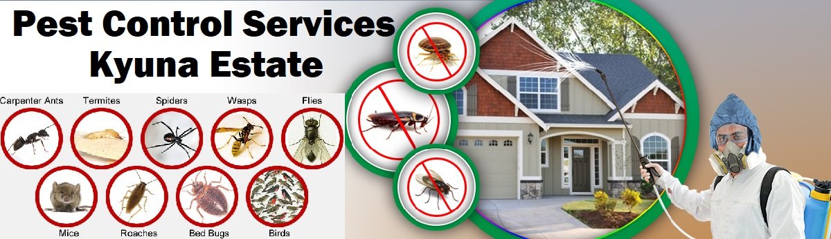 Fumigation and pest control services in Kyuna