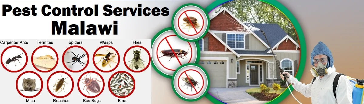 Fumigation and pest control services in Malawi Lilongwe